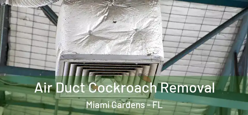Air Duct Cockroach Removal Miami Gardens - FL
