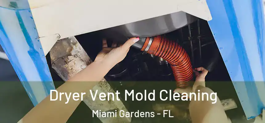 Dryer Vent Mold Cleaning Miami Gardens - FL