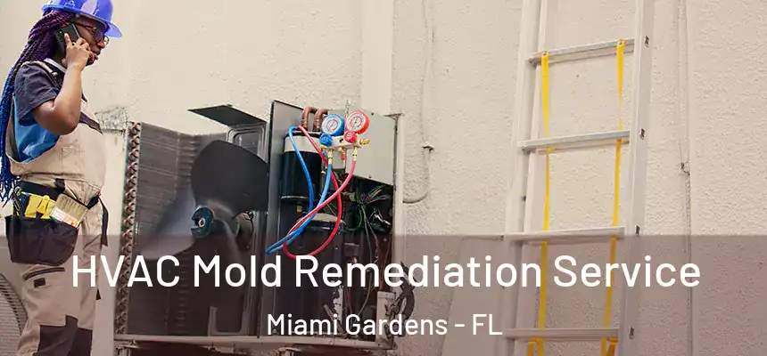 HVAC Mold Remediation Service Miami Gardens - FL