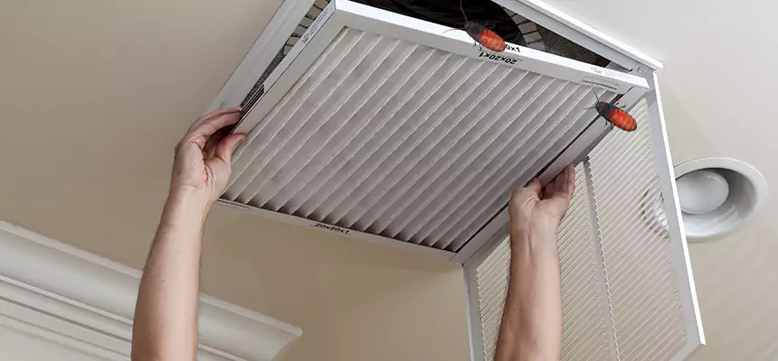 Our Insect Removal from Air Ducts Services in Miami Gardens, FL