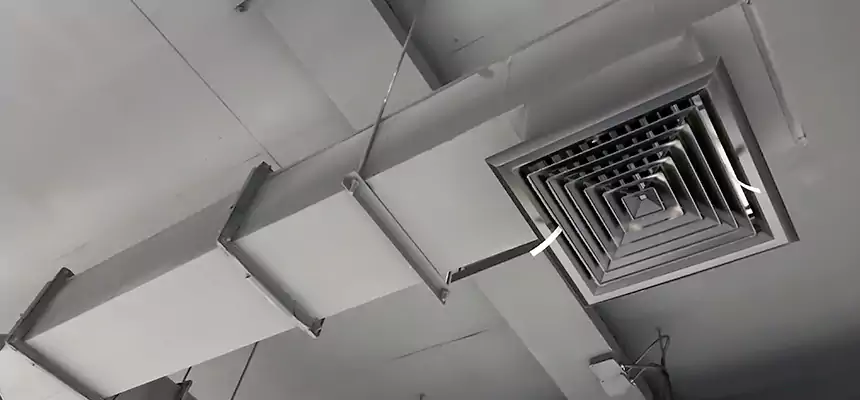 Our Rodent Droppings In Vents Services in Miami Gardens, FL