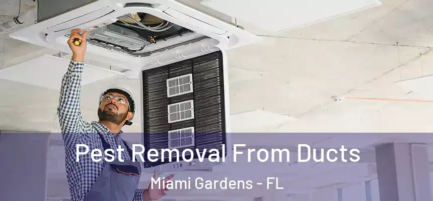 Pest Removal From Ducts Miami Gardens - FL