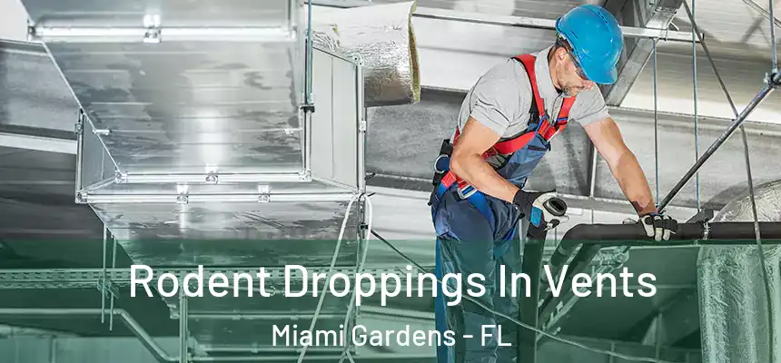 Rodent Droppings In Vents Miami Gardens - FL