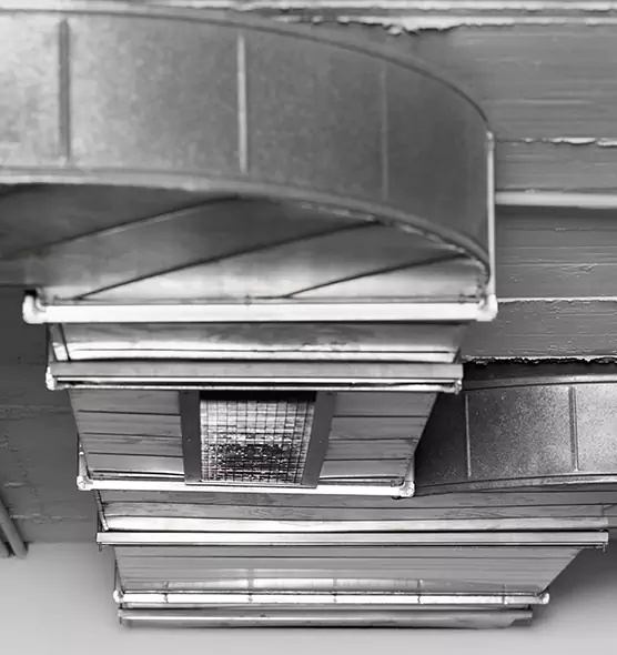 Professional Air Duct Pet Hair Removal in Miami Gardens, FL